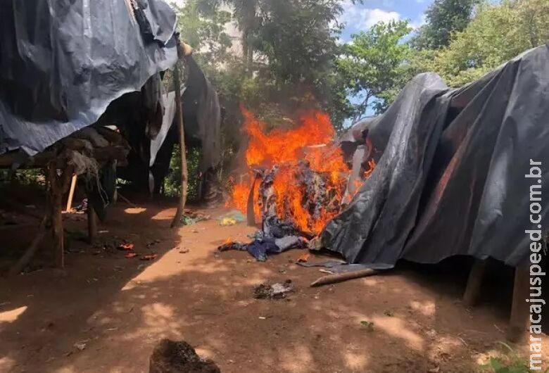 Polícia desfaz acampamento que produziu 12 toneladas de maconha