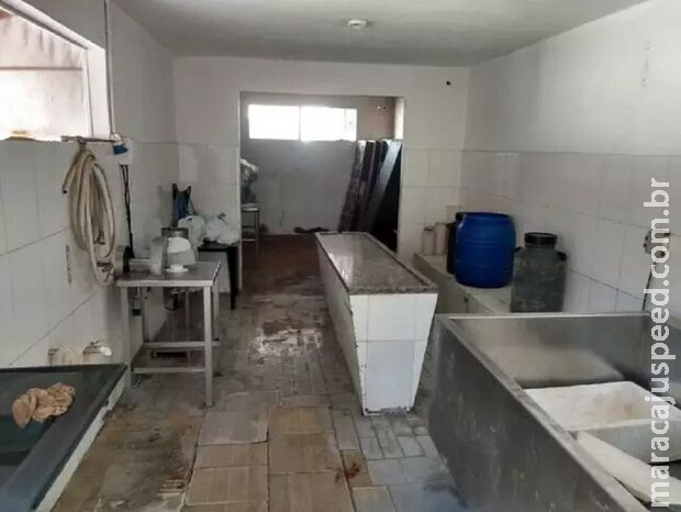 Polícia fecha açougue clandestino e prende seis pessoas em Ribas do Rio Pardo
