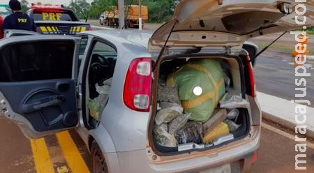 PRF em Sidrolândia captura homem com veículo com mais de 200 kg de maconha e quase 2 kg de Skank
