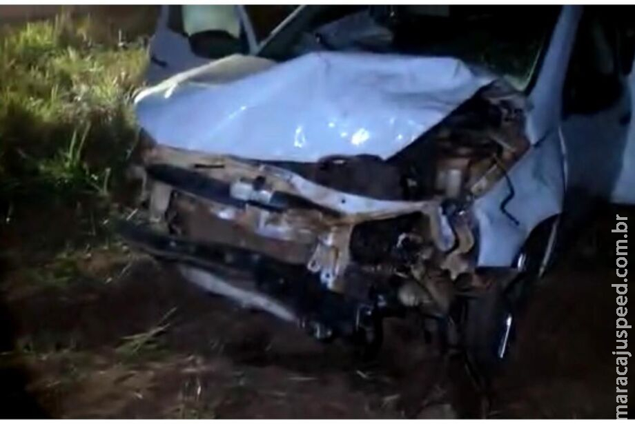 Após novo acidente com anta, governador diz que MS-040 já tem 40 km de telas