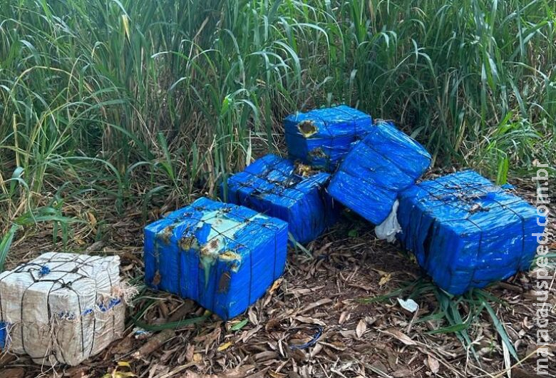Carga de maconha escondida em mata é apreendida e um acaba preso 