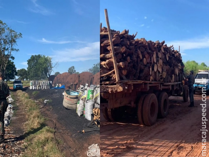 Carvoaria é multada em R$ 73 mil após flagrante de lenha e carvão nativos sem autorização