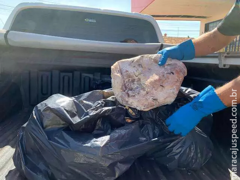 Dono de açougue no Caiobá é preso com carne vencida e de caça