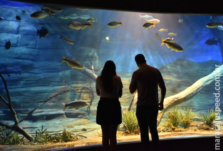 Entrada no Bioparque no sábado será através de doação de agasalho