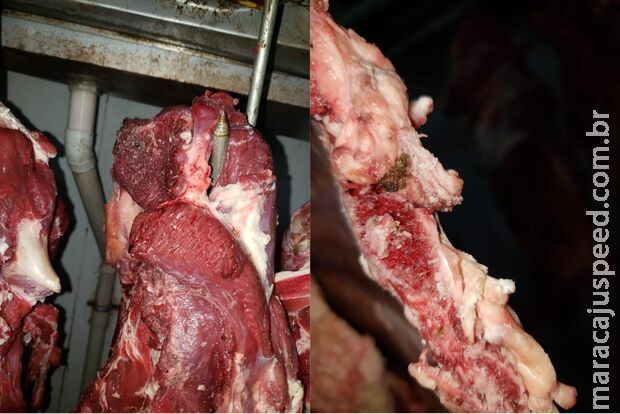 Fiscalização descarta mais de 900 kg de carne clandestina e prende dona de mercado em MS