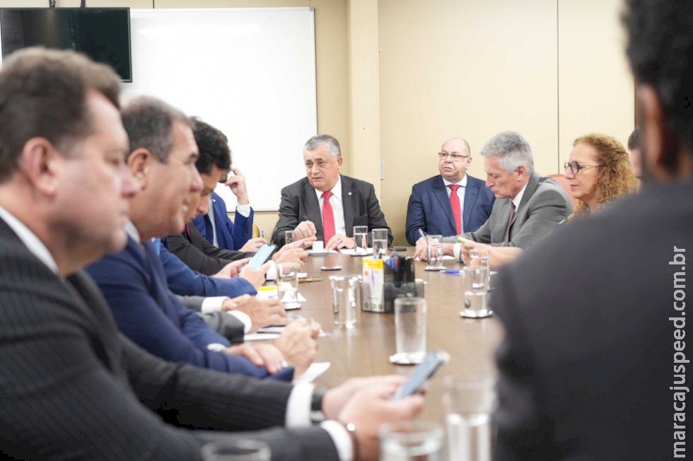 Governo Lula tenta adiar votação do Marco Temporal na Câmara Governo Lula tenta adiar votação do Marco Temporal na Câmara