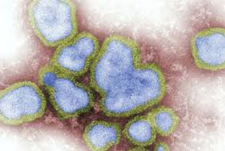 Gripe mata mais 6 pessoas e número de vítimas chega a 28 em MS Gripe mata mais 6 pessoas e número de vítimas chega a 28 em MS