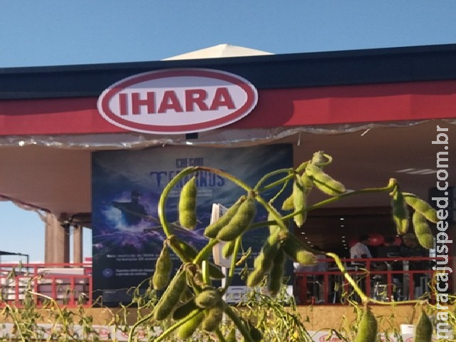 IHARA apresenta novidades tecnológicas para produtividade de grãos na Showtec, em MS IHARA apresenta novidades tecnológicas para produtividade de grãos na Showtec, em MS