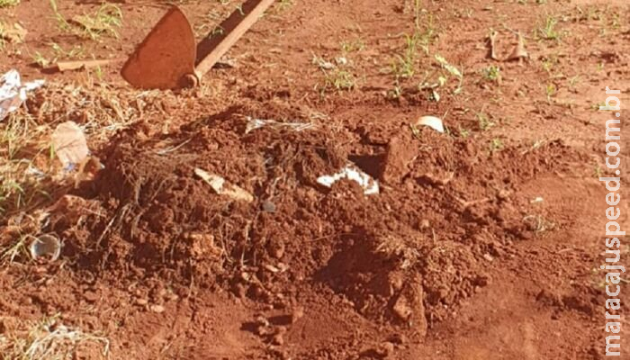 Marido expulsa esposa e filha de casa e mata cachorro esganado