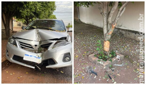 Motorista bate em árvore após discussão com passageiro em Rio Brilhante
