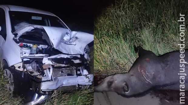 Motorista morre em acidente em Santa Rita do Rio Pardo