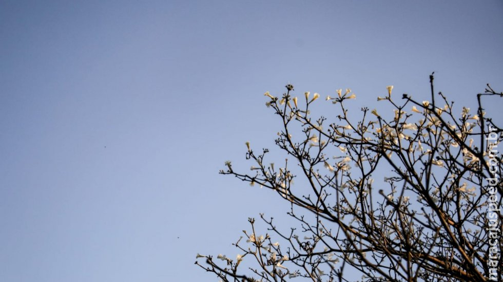 MS tem baixa umidade e pode ter máxima de 32ºC neste sábado
