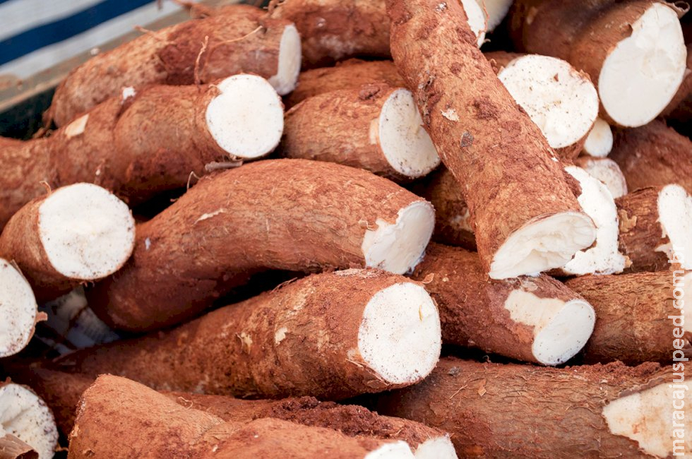 Mulher de 73 anos leva tiro durante discussão por causa de mandioca