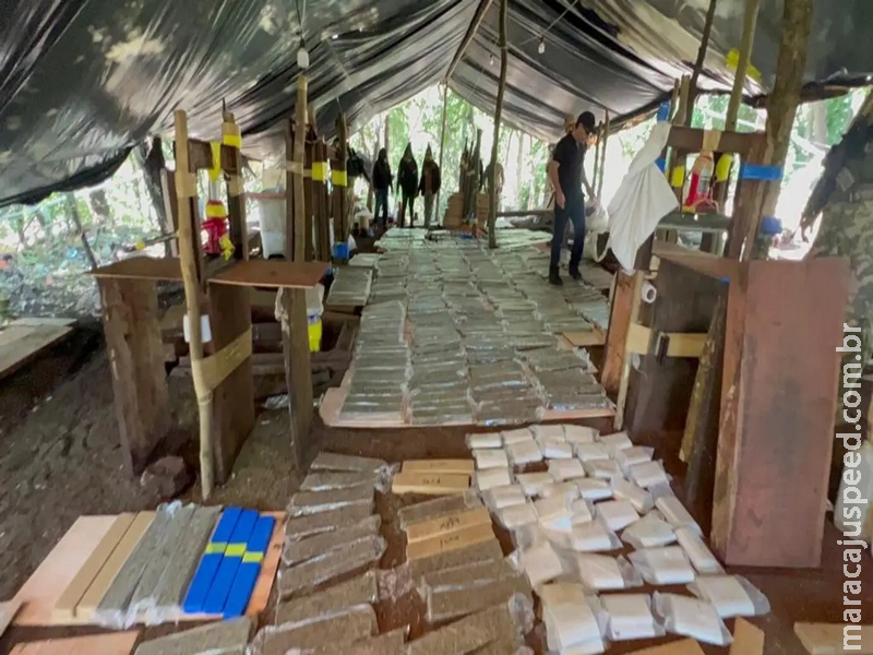 Ofensivas em fazendas de maconha na fronteira desmontam 15 acampamentos