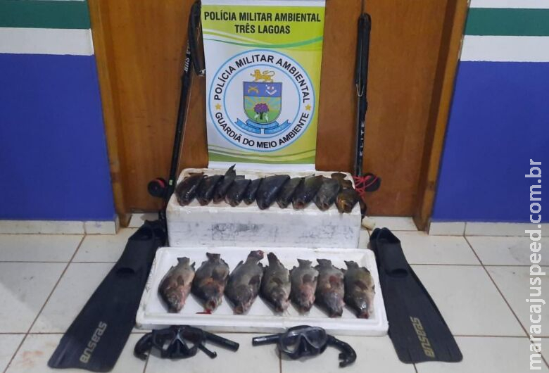 Polícia flagra dupla realizando pesca subaquática sem licença, apreende arpões e pescado 