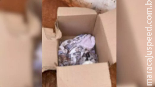 Polícia segue sem informações sobre família de bebê de 10 meses abandonado em MS