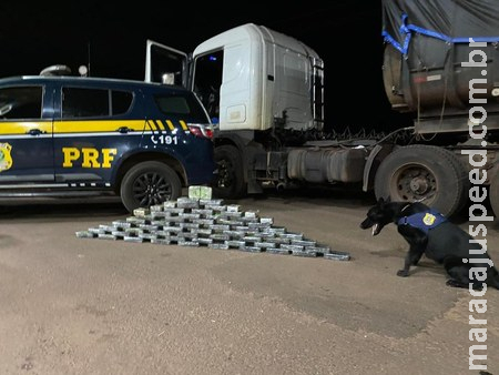 PRF apreende 61 Kg de cocaína em Terenos (MS) PRF apreende 61 Kg de cocaína em Terenos (MS)