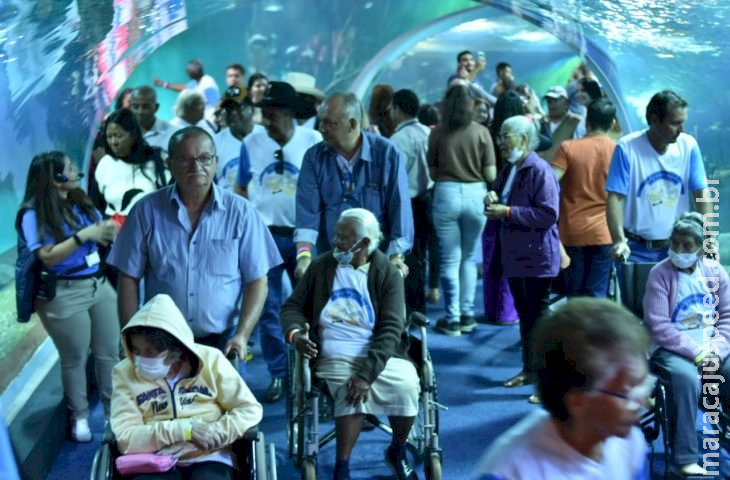 Três lugares para conhecer no Dia Mundial da Conscientização sobre Acessibilidade