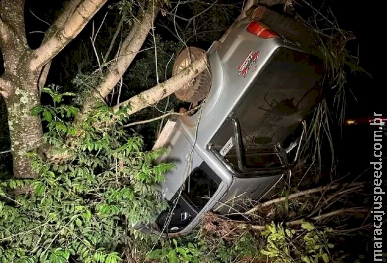 Veículo capota e vai parar fora de rodovia após atropelamento de anta Veículo capota e vai parar fora de rodovia após atropelamento de anta