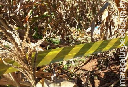 Adolescente é arrastada para milharal, estuprada e esfaqueada por vizinho em Mato Grosso do Sul Adolescente é arrastada para milharal, estuprada e esfaqueada por vizinho em Mato Grosso do Sul