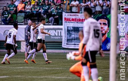 Botafogo vence, se isola ainda mais na liderança do Brasileirão