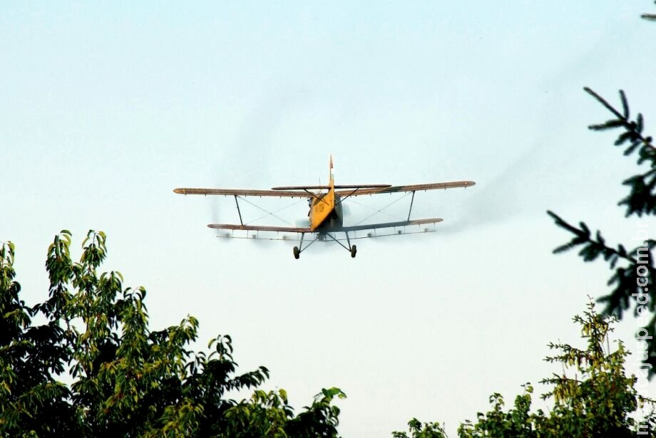 Contaminação por agrotóxicos ocorre por via aérea em municípios de MS, diz líder indígena