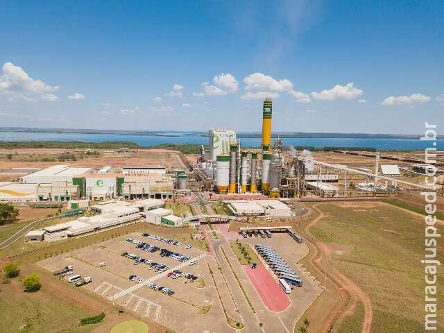 Empresa de celulose oferece 50 vagas para motoristas de caminhão em MS