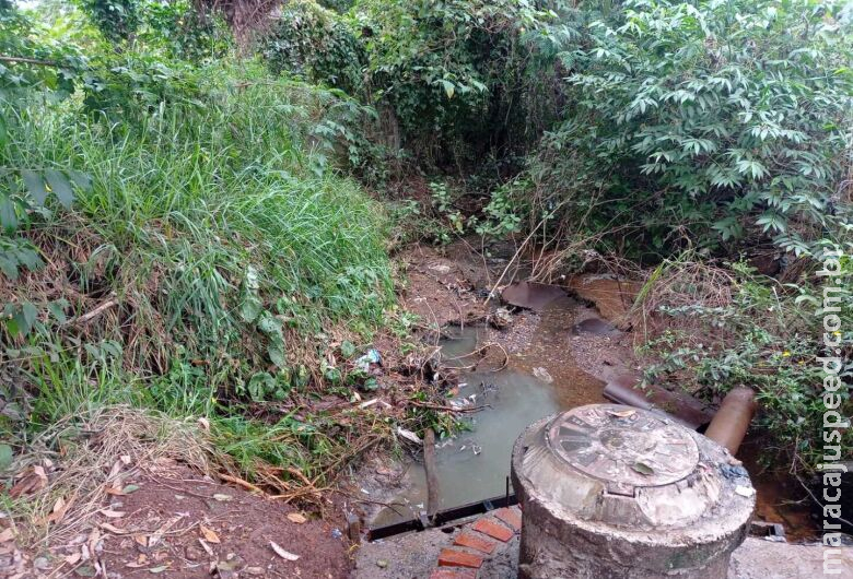 Empresário é autuado por lançamento de esgoto dentro Área de Preservação
