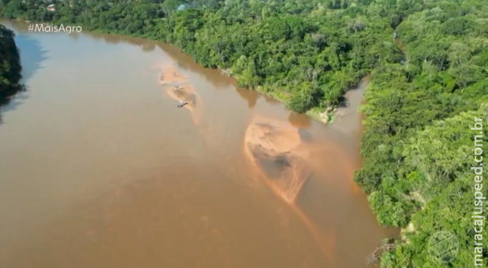 Entre os rios mais assoreados do país, Taquari vai ter mil hectares reflorestados com 2 milhões de árvores em MS