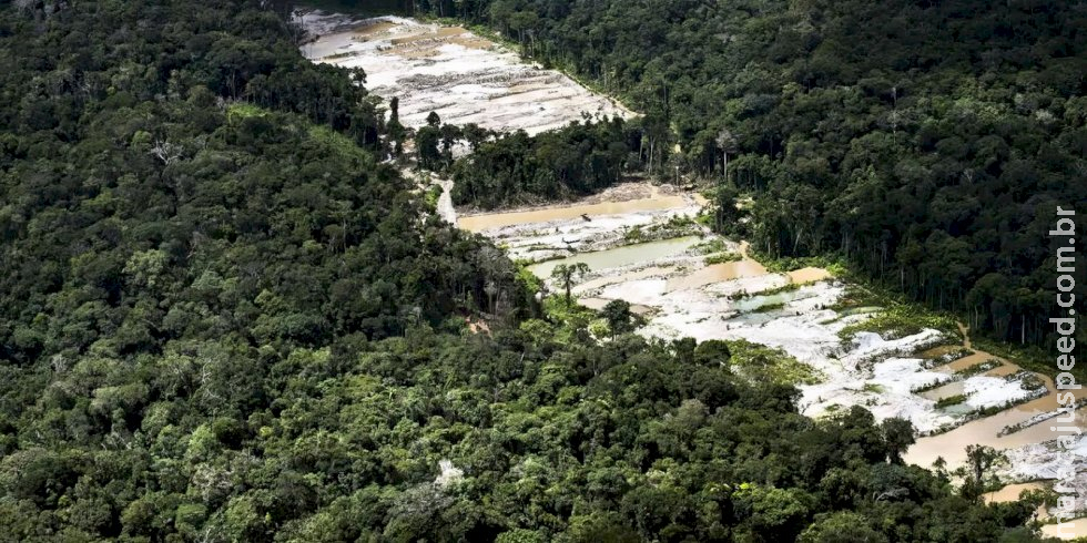 Força-tarefa destrói dez garimpos ilegais na Amazônia