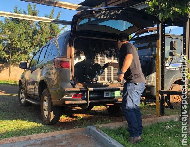 Homem que tentou matar ex-mulher afogada é preso em Dourados