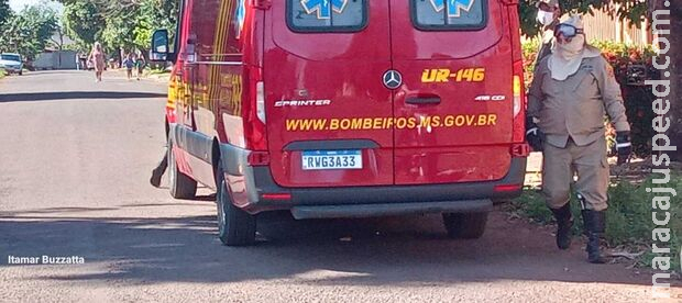 Idoso morre após levar 400 picadas de abelhas em Sergipe