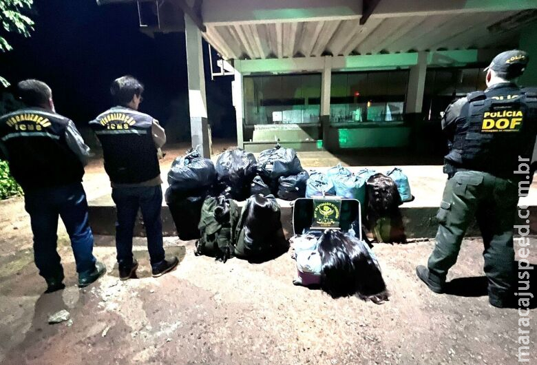 Mais de 400kg de cabelo humano adquiridos em Dourados são apreendidos na BR-267 Mais de 400kg de cabelo humano adquiridos em Dourados são apreendidos na BR-267