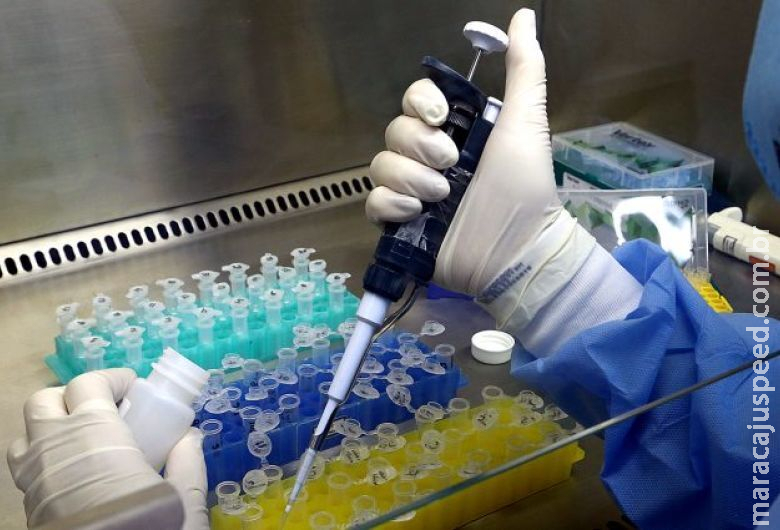 Mais de mil pessoas tiveram chikungunya neste ano em MS Mais de mil pessoas tiveram chikungunya neste ano em MS