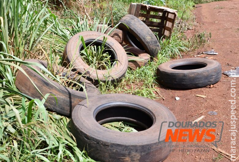 Moradora de Dourados morre por dengue e MS soma 30 vítimas neste ano 