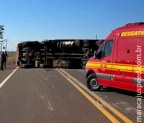 Motorista desvia de animal e caminhão frigorífico tomba em rodovia