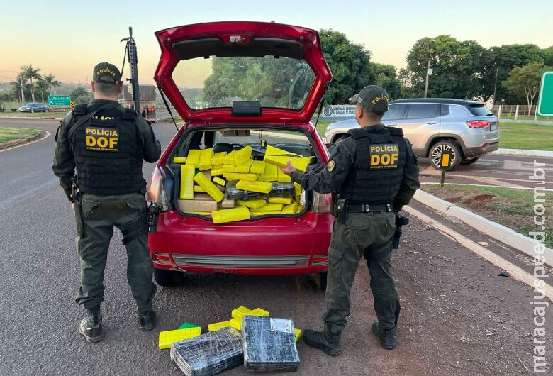 Motorista é preso com mais de meio milhão de reais em maconha na BR-163 Motorista é preso com mais de meio milhão de reais em maconha na BR-163