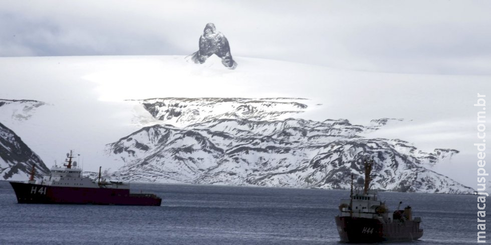 ONU adota primeiro tratado para proteger biodiversidade marítima