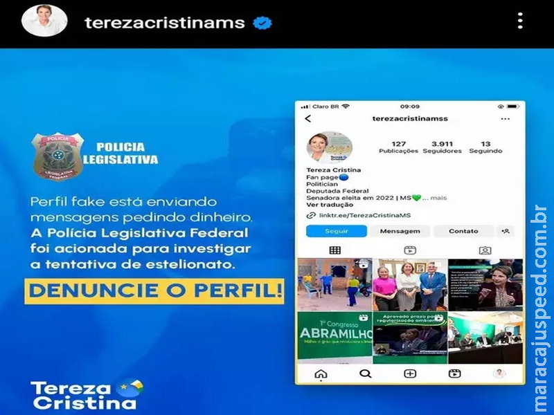 Perfil fake da senadora Tereza Cristina está pedindo dinheiro pela internet 