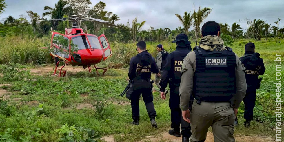 Pesquisa traça conexões entre narcotráfico e crimes ambientais no país