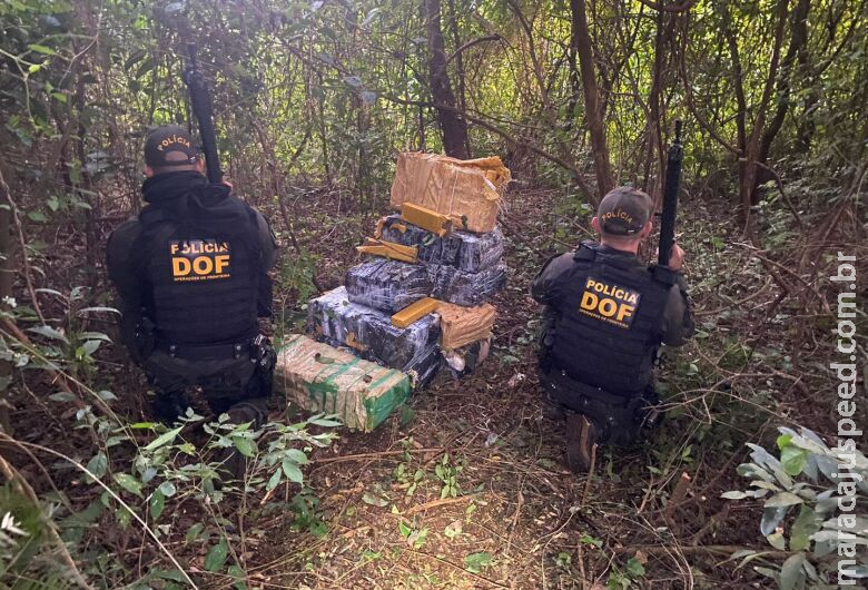Polícia persegue rastros e localiza maconha em estrada vicinal de Aral Moreira Polícia persegue rastros e localiza maconha em estrada vicinal de Aral Moreira