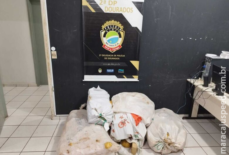 Polícia recupera veículo furtado e apreende 141 quilos de maconha