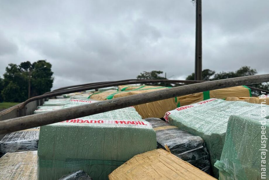 PRF apreende caminhão boiadeiro abarrotado de maconha PRF apreende caminhão boiadeiro abarrotado de maconha