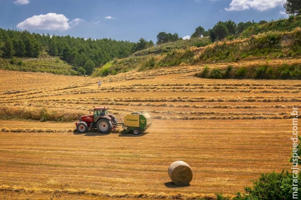 Riedel quer garantia de crédito com juros compatíveis para produtores no Plano Safra Riedel quer garantia de crédito com juros compatíveis para produtores no Plano Safra