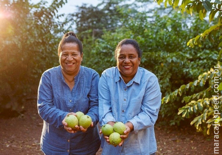 Agro. Do campo pra você. Ep 9: Conheça as irmãs Maria e Marlucia 