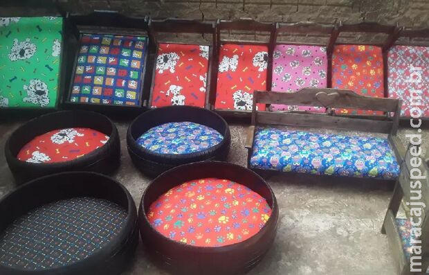 Artesãos recebem pedidos de caixões para pets em Campo Grande