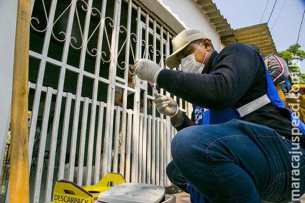 Bebê de 1 ano morre por leishmaniose em Corumbá