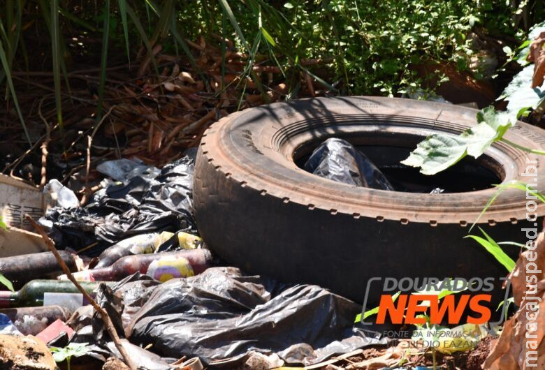 Com 31 mortes confirmadas, MS investiga outros oito óbitos por dengue