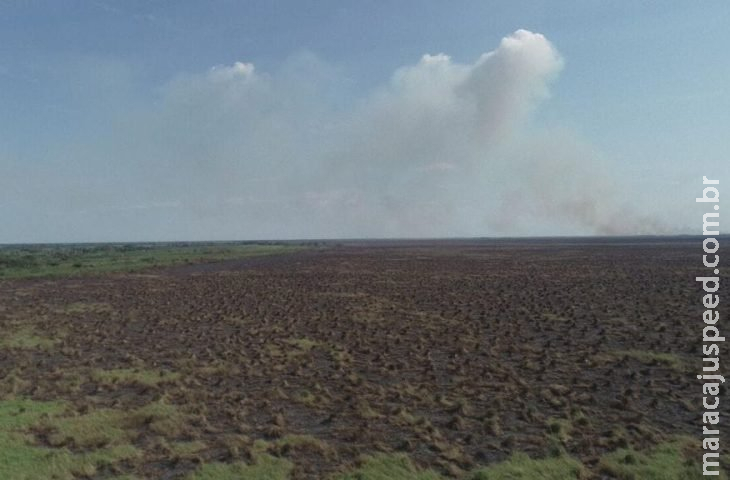 Com tecnologia e técnica, bombeiros de MS extinguem fogo na região do Pantanal Com tecnologia e técnica, bombeiros de MS extinguem fogo na região do Pantanal