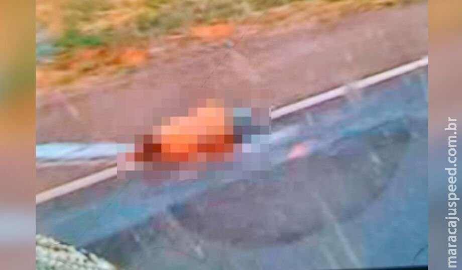 Corpo de homem é encontrado esmagado na BR-262 Corpo de homem é encontrado esmagado na BR-262